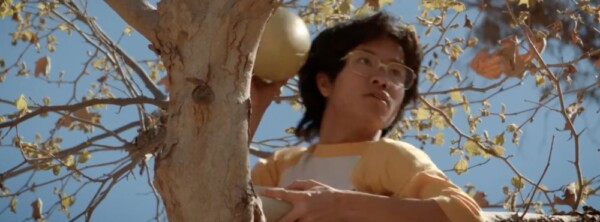 kit-alexander-dezolt