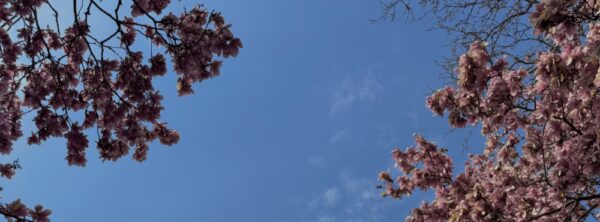 katherine-elizabeth-pendergast